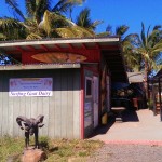 Maui's Surfing Goat Dairy