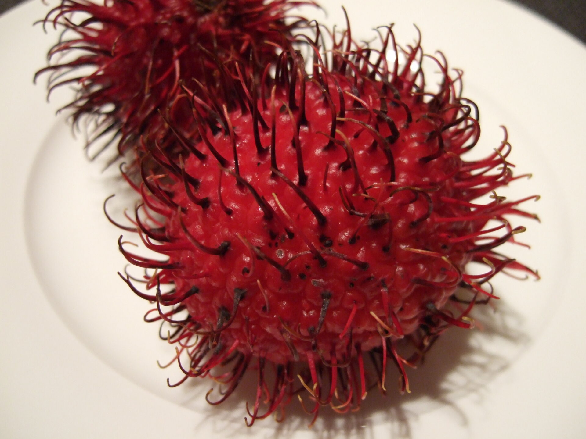 Maui's Top Five Tropical Fruits