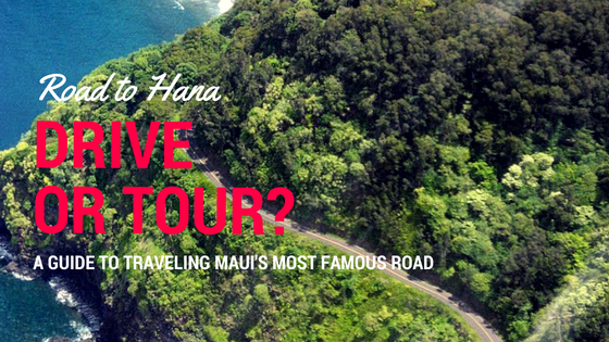 Road To Hana Drive Or Tour Temptation Tours Road To Hana Drive Or Tour Temptation Tours