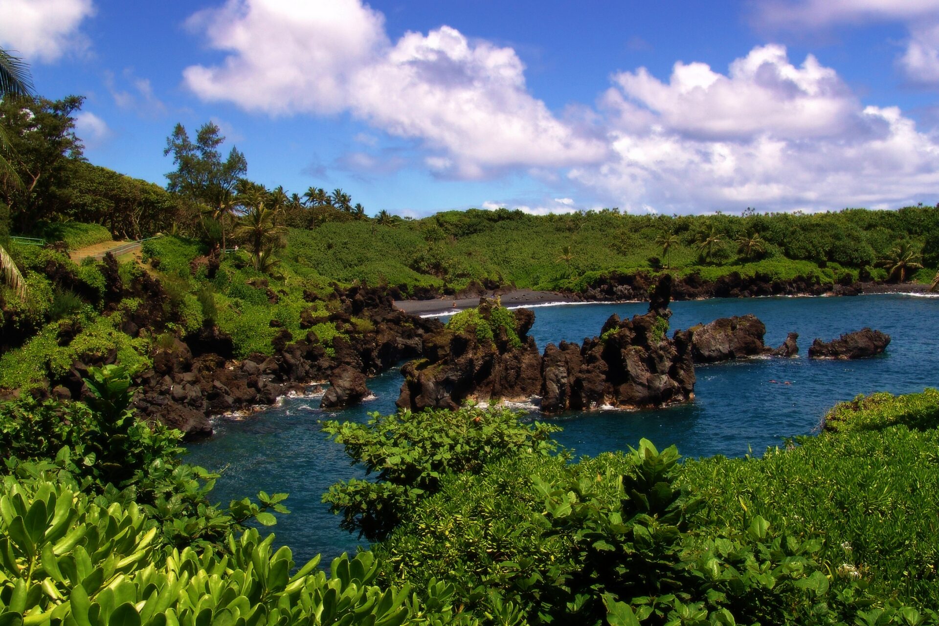 tour to hana maui