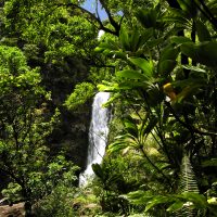 Forest waterfall in Hana