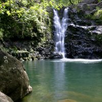 Hana waterfall in forest