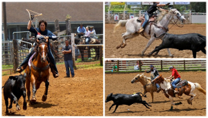 Makawao Rodeo