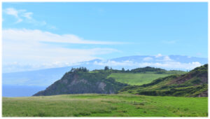 Pasture views in Hana Maui
