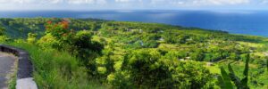 Ocean views from the Road to Hana in Maui