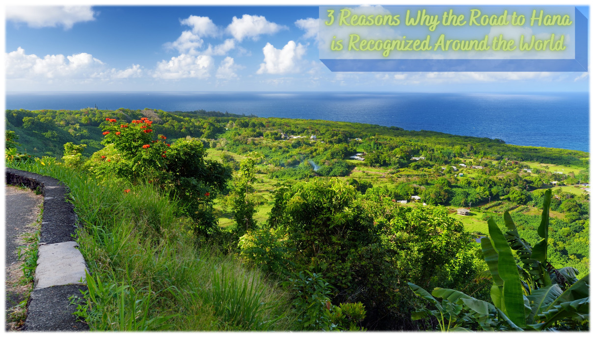 View on the Road to Hana