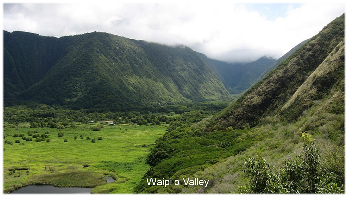 King Kamehameha the Great The Unification of the Hawaiian Islands