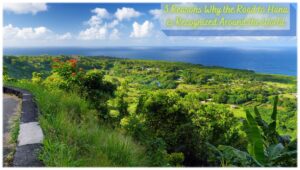 The Road to Hana