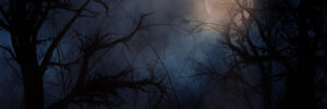 Spooky moon behind mist and bare tree branches.