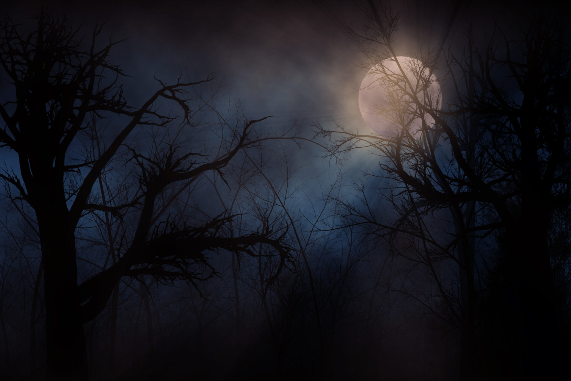 Spooky moon behind mist and bare tree branches.