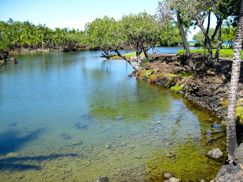 Brackish ponds in Hawai'i