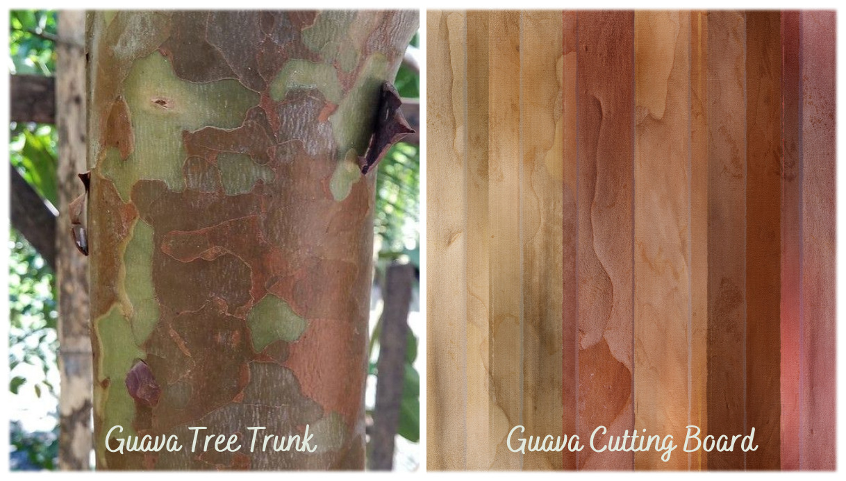 A Little Fruit With a Big Story The Uses of Guava in Hawai'i Temptation Tours