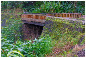 One of 54 one-lane bridges on the Road to Hana.