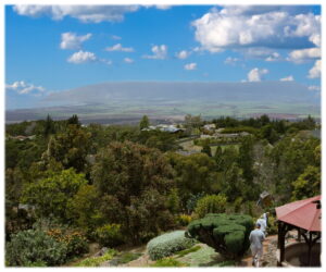 View from Kula, Maui