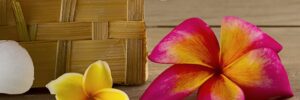 Plumeria flowers in a basket